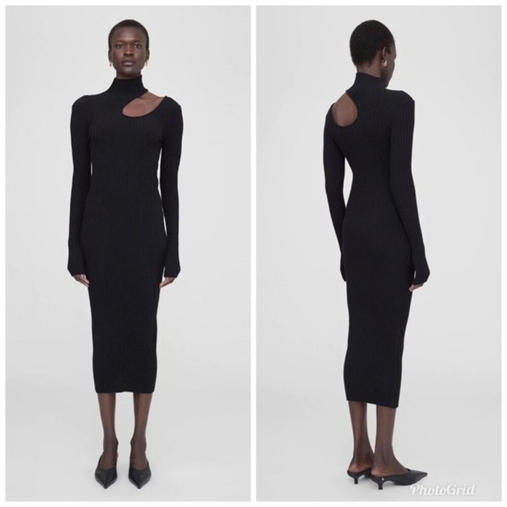 NWT Anine Bing Victoria Cutout Black Turtleneck Rib Knit Dress L